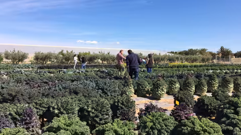 Campo de Ensayo en Fuente &Aacute;lamo (Foto Tozer Ib&eacute;rica)