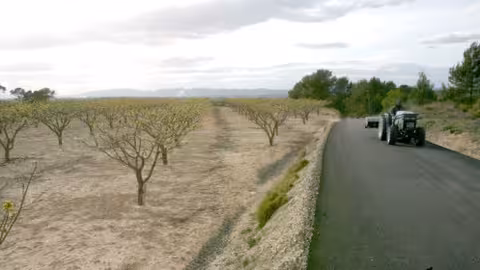 Camino rural (Foto Generalitat valenciana)