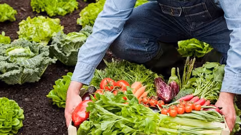 imagenes/AgriculturaEcolgicaFotoCAERM_1.jpg