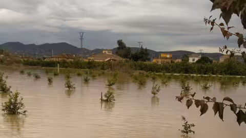Campo de cultivo inundado dic 2016 Beniel (Foto Ayto Beniel)
