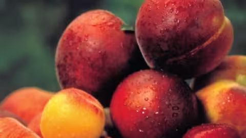 imagenes/w640/frutahuesoFotoCooperativasAgroAlimentarias_1.jpg