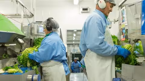 Trabajadores (Foto Florette)