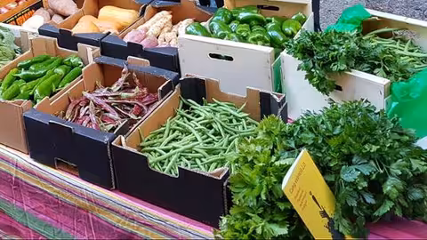 Hortalizas ecol&oacute;gicas (Foto Generalitat valenciana)