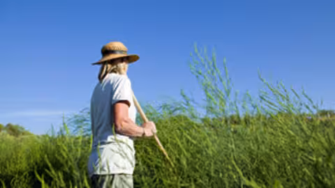 Mujer en el campo (Foto Junta de Andaluc&iacute;a)