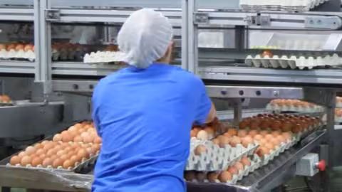 F&aacute;brica de procesamiento de huevos (Foto Asprhuweb)