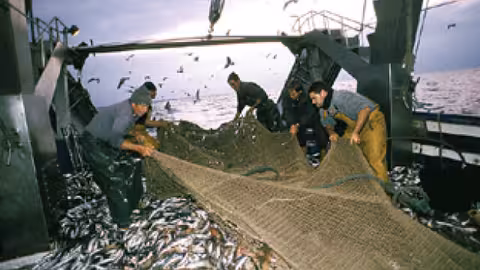 Pescadores faenando (Foto Junta de Andaluc&iacute;a)