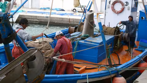 Pescadores faenando en el puerto (Foto regmurciacom)