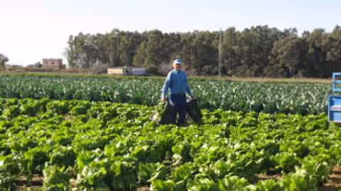 Agricultor (Foto Junta de Andaluc&iacute;a)