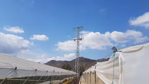 Torre El&eacute;ctrica entre invernaderos (Foto COIARM)