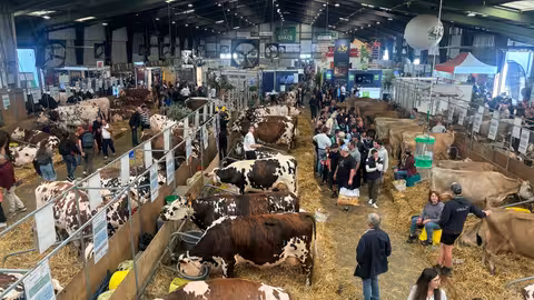 Feria Space 34 (Foto JL Gonz&aacute;lez)