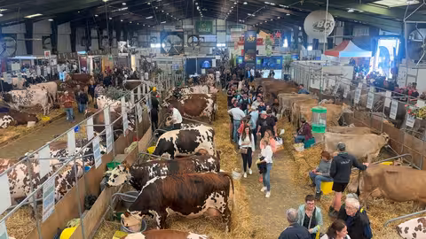 Feria Space 29 (Foto JL Gonz&aacute;lez)