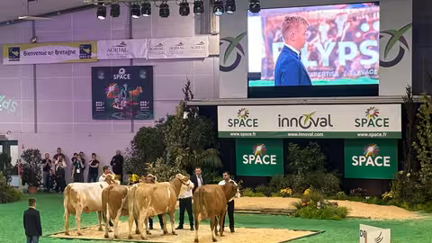 Feria Space 25 (Foto JL Gonz&aacute;lez)