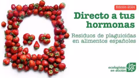Portada informe Directo a tus hormonas (Imagen Ecologistas en Acci&oacute;n)