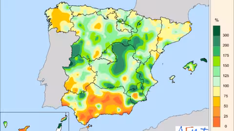 Porcentaje de las precipitaciones respecto al promedio normal del per&iacute;odo 1991-2020 durante el verano de 2024 (Fuente Aemet)