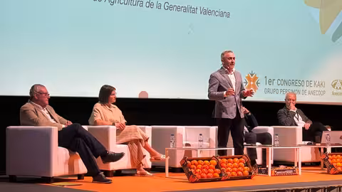 Barrachina en el congreso del Kaki Persim&oacute;n de Anecoop (Foto Generalitat Valenciana)