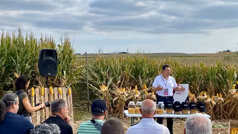 Presentaci&oacute;n del nuevo maiz h&iacute;drido Preceon en campo (Foto Bayer Espa&ntilde;a)