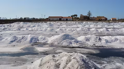 Primera cosecha de sal en las Salinas de Marchamalo (Foto Pedro Garc&iacute;a ANSE) Archivo