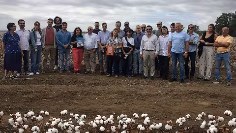 Visita del sector algodonero a campos de Andaluc&iacute;a (Foto Eucotton)