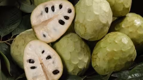 Chirimoyas (Foto Consejo Regulador DOP Chirimoya Costa Tropical)
