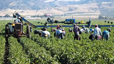 Trabajadores en una finca agr&iacute;cola (Foto UGT-FICA)