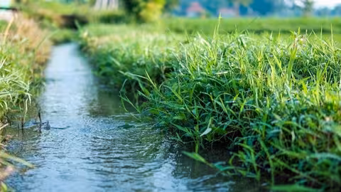 Cauce de agua de riego (Foto La Uni&oacute;n de Extremadura)