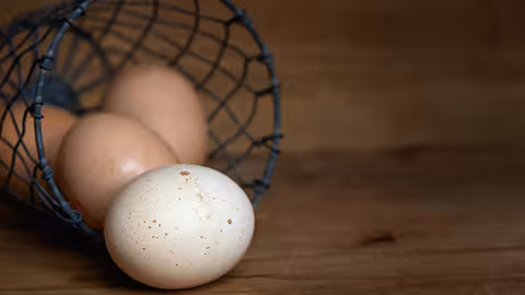 Huevos (Foto MAPA)
