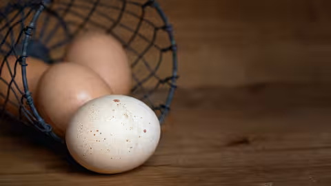 Huevos en una cesta (Foto MAPA)