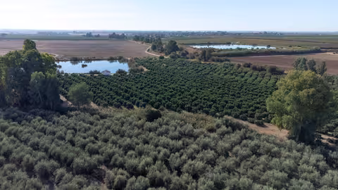 Fincas agr&iacute;colas en la provincia de Sevilla (Foto UPA)