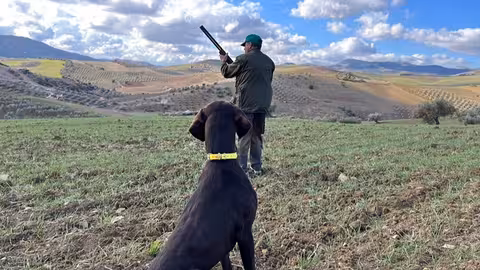 Un cazador junto a su perro (Foto Junta de Andaluc&iacute;a)