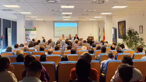 Presentaci&oacute;n de los resultados de la experimentaci&oacute;n en cultivos herb&aacute;ceos extensivos de la RAEA (Foto Ifapa)