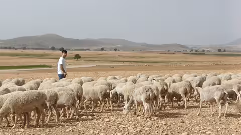 Un ganadero con su reba&ntilde;o de ovino en Caravaca de la Cruz (Foto CARM) Archivo