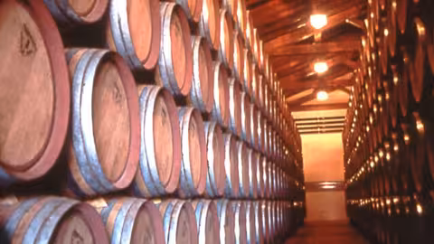 Barriles en una bodega (Foto Consejo Regulador DOP Jumilla)