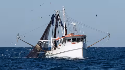 Pesca de cerco en el Golfo de C&aacute;diz (Foto Junta de Andaluc&iacute;a)