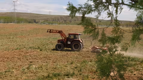 Tractor labrando un campo afectado por la sequ&iacute;a (Foto MAPA)