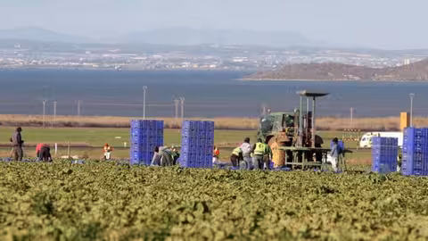 Jornaleros en el campo (Foto CCOO Industria)
