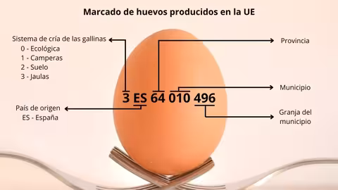 Que significa el marcado de los huevos