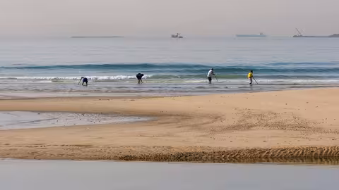 Mariscadores a pie de coquina en el Golfo de C&aacute;diz (Foto Junta de Andaluc&iacute;a)