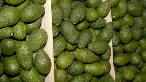 Cajas de aguacates (Foto Generalitat Valenciana) Archivo