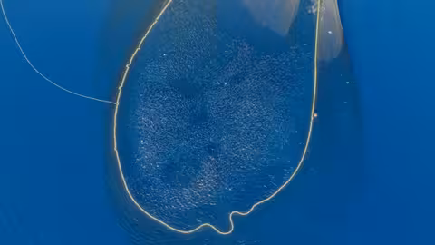 Pesca de cerco atunero (Foto Opagac/Agac)
