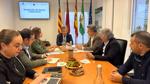 Reuni&oacute;n de Murcia, Andaluc&iacute;a y C.Valenciana sobre sequ&iacute;a en masas forestales (Foto CARM)