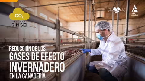 Imagen Proyecto SINGEI - Granja porcina (Foto Asaja Murcia)