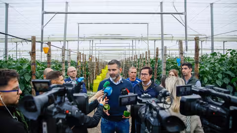 Fern&aacute;ndez-Pacheco, atiende a los medios tras visitar los da&ntilde;os de la DANA en invernaderos de El Ejido (Foto Junta de Andaluc&iacute;a)