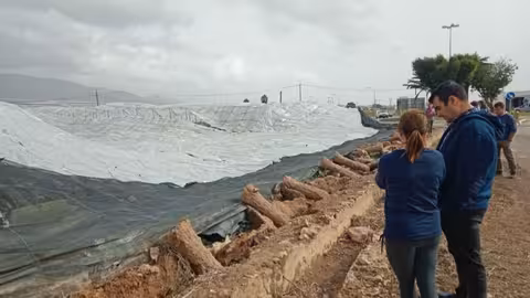 Da&ntilde;os en invernaderos por la DANA de El Ejido (Foto COAG Almer&iacute;a)