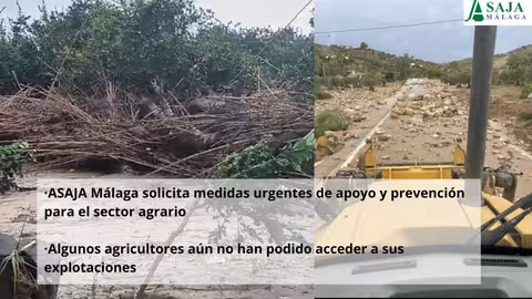 Collage de los da&ntilde;os DANA (Imagen Asaja M&aacute;laga)