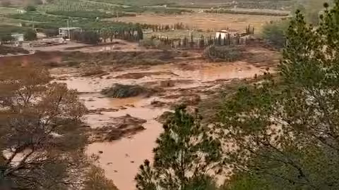 Fincas de c&iacute;tricos de Pedralba junto al Turia afectadas por la DANA en una captura de un v&iacute;deo (Foto UPA-PV)