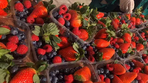 Frutos rojos envasados (Foto Interfresa)