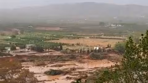 Fincas de c&iacute;tricos de Pedralba junto al Turia afectadas por la DANA en una captura de un v&iacute;deo (Foto UPA-PV)