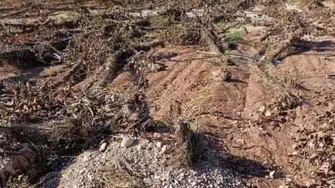 Da&ntilde;os por la DANA en la agricultura (Foto AVA-Asaja)