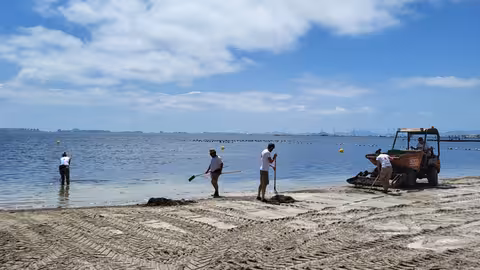 Labores de limpieza de retirada de biomasa en el Mar Menor (Foto CARM)