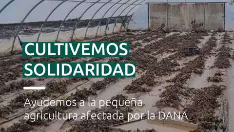 Cultivemos solidaridad (Cartel CCPV-Coag)